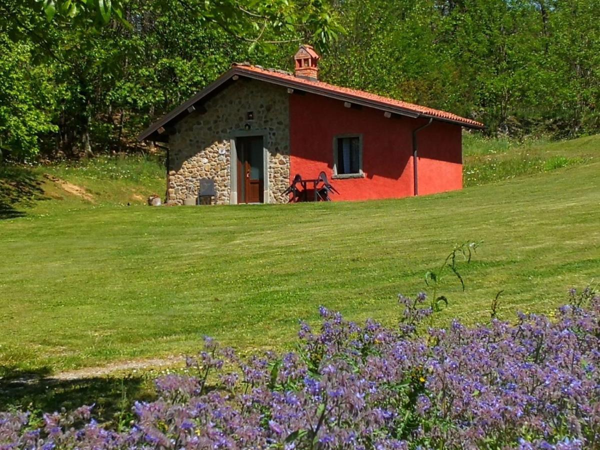 Agriturismo Braccicorti Pieve Fosciana Екстериор снимка