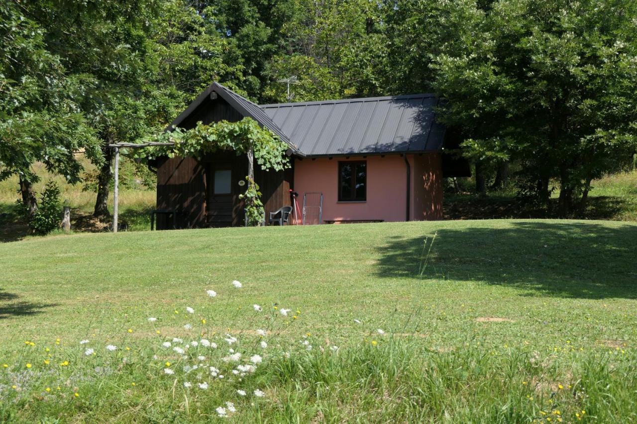 Agriturismo Braccicorti Pieve Fosciana Екстериор снимка