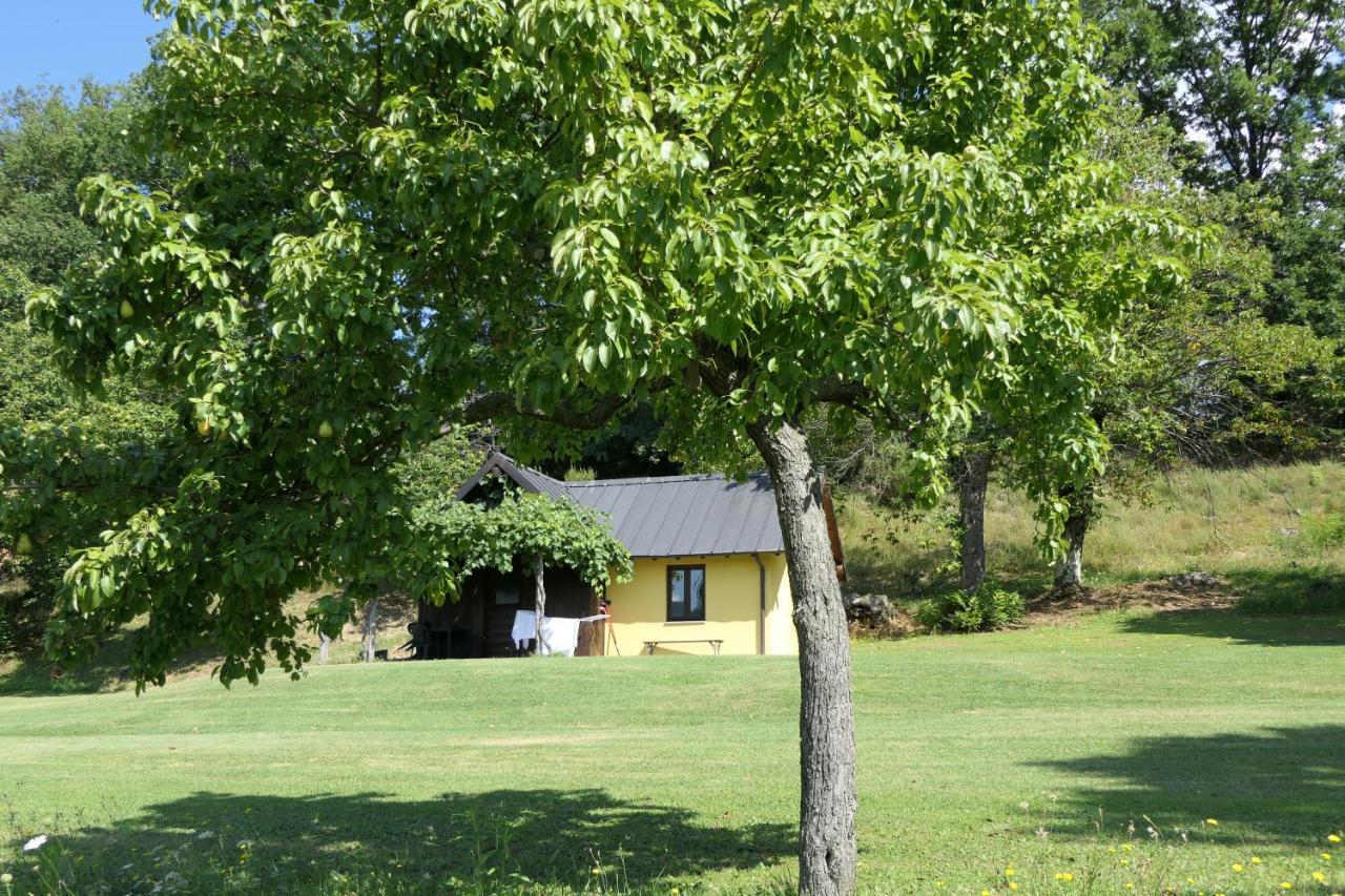 Agriturismo Braccicorti Pieve Fosciana Екстериор снимка