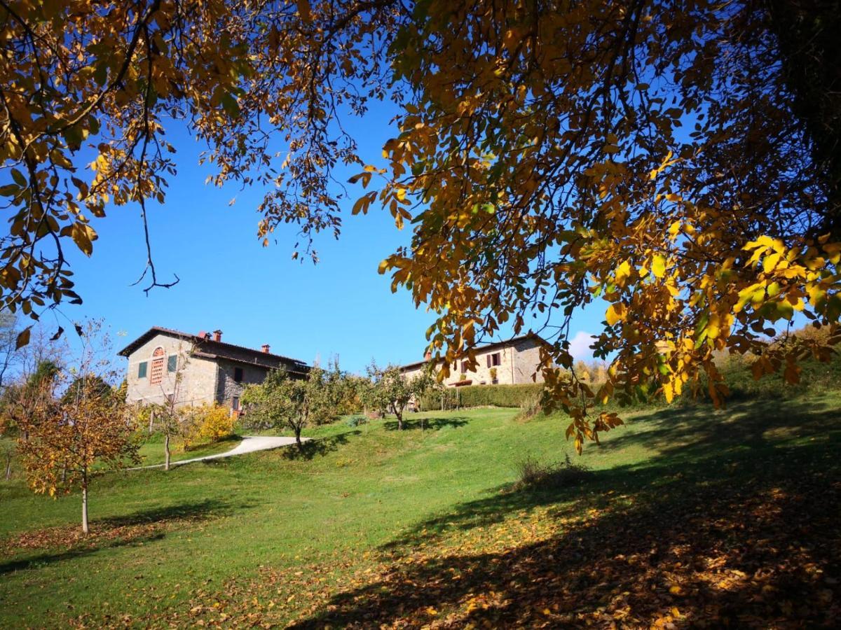 Agriturismo Braccicorti Pieve Fosciana Екстериор снимка