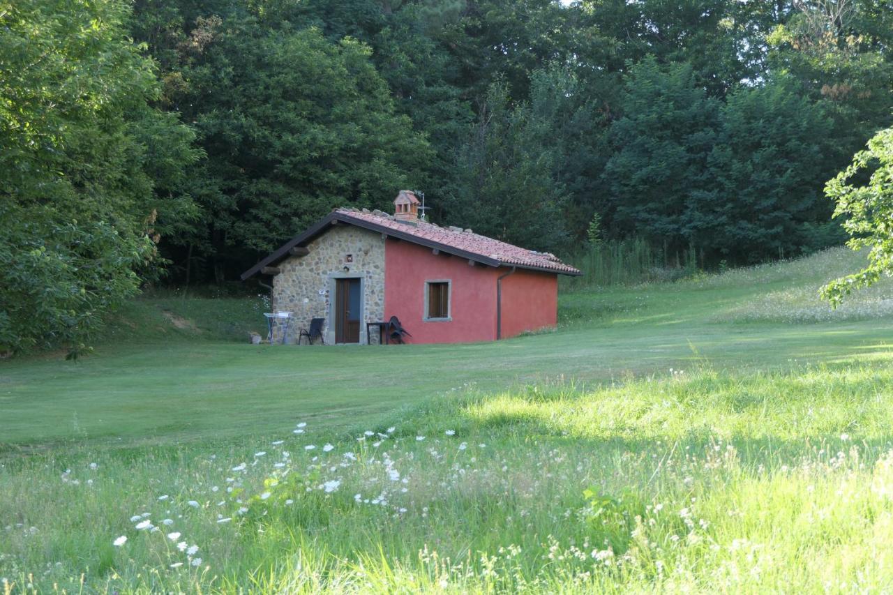 Agriturismo Braccicorti Pieve Fosciana Екстериор снимка