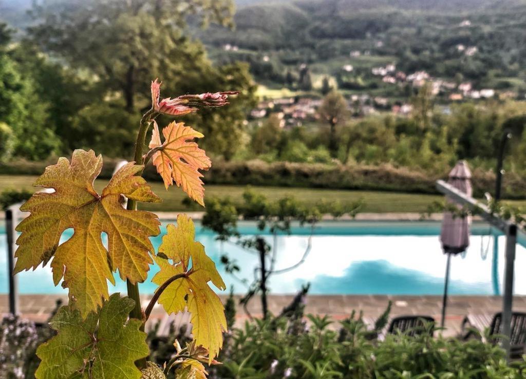 Agriturismo Braccicorti Pieve Fosciana Екстериор снимка
