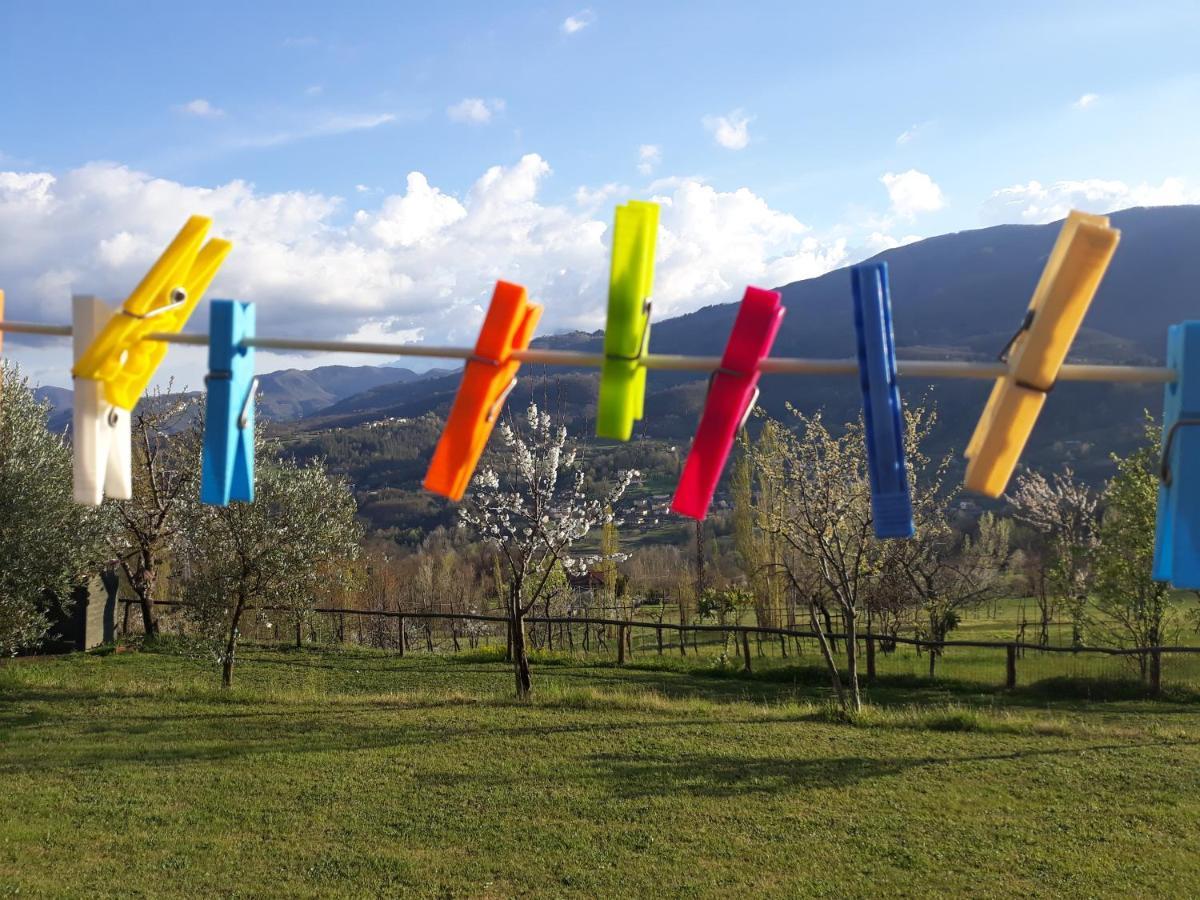 Agriturismo Braccicorti Pieve Fosciana Екстериор снимка
