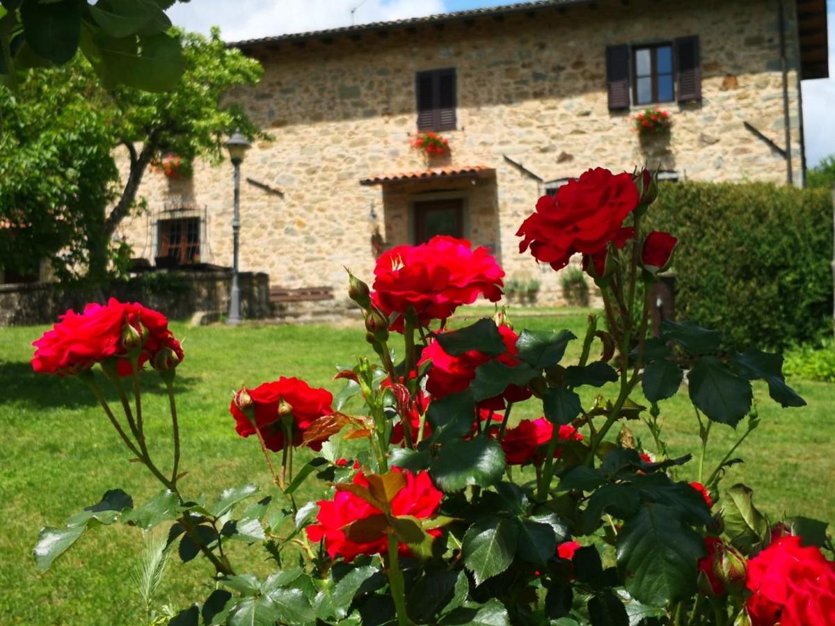 Agriturismo Braccicorti Pieve Fosciana Екстериор снимка