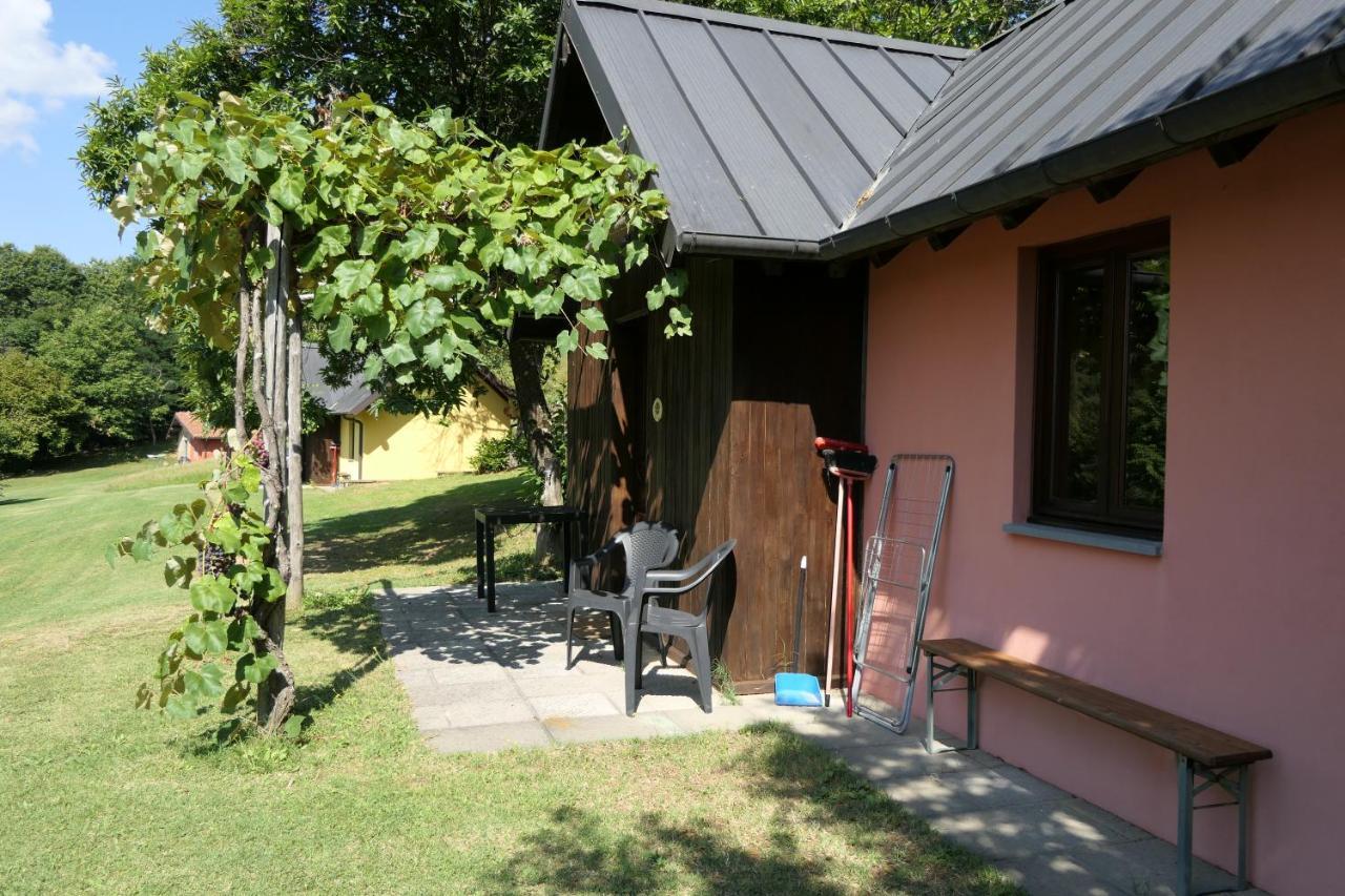 Agriturismo Braccicorti Pieve Fosciana Екстериор снимка