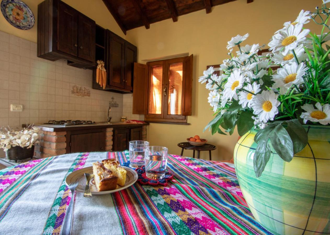 Agriturismo Braccicorti Pieve Fosciana Екстериор снимка