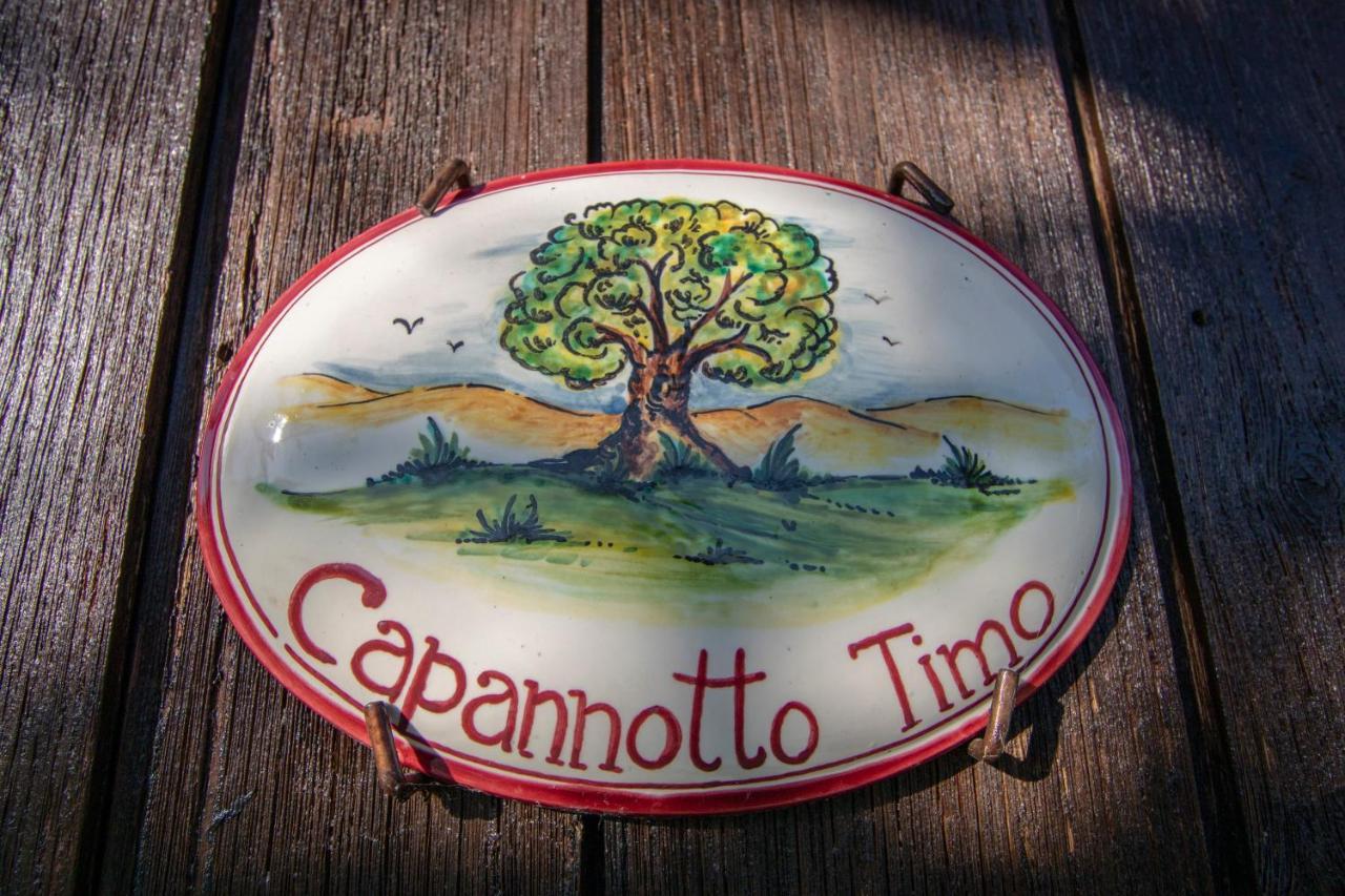 Agriturismo Braccicorti Pieve Fosciana Екстериор снимка