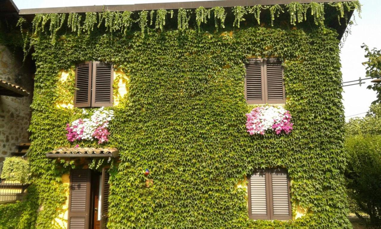 Agriturismo Braccicorti Pieve Fosciana Екстериор снимка