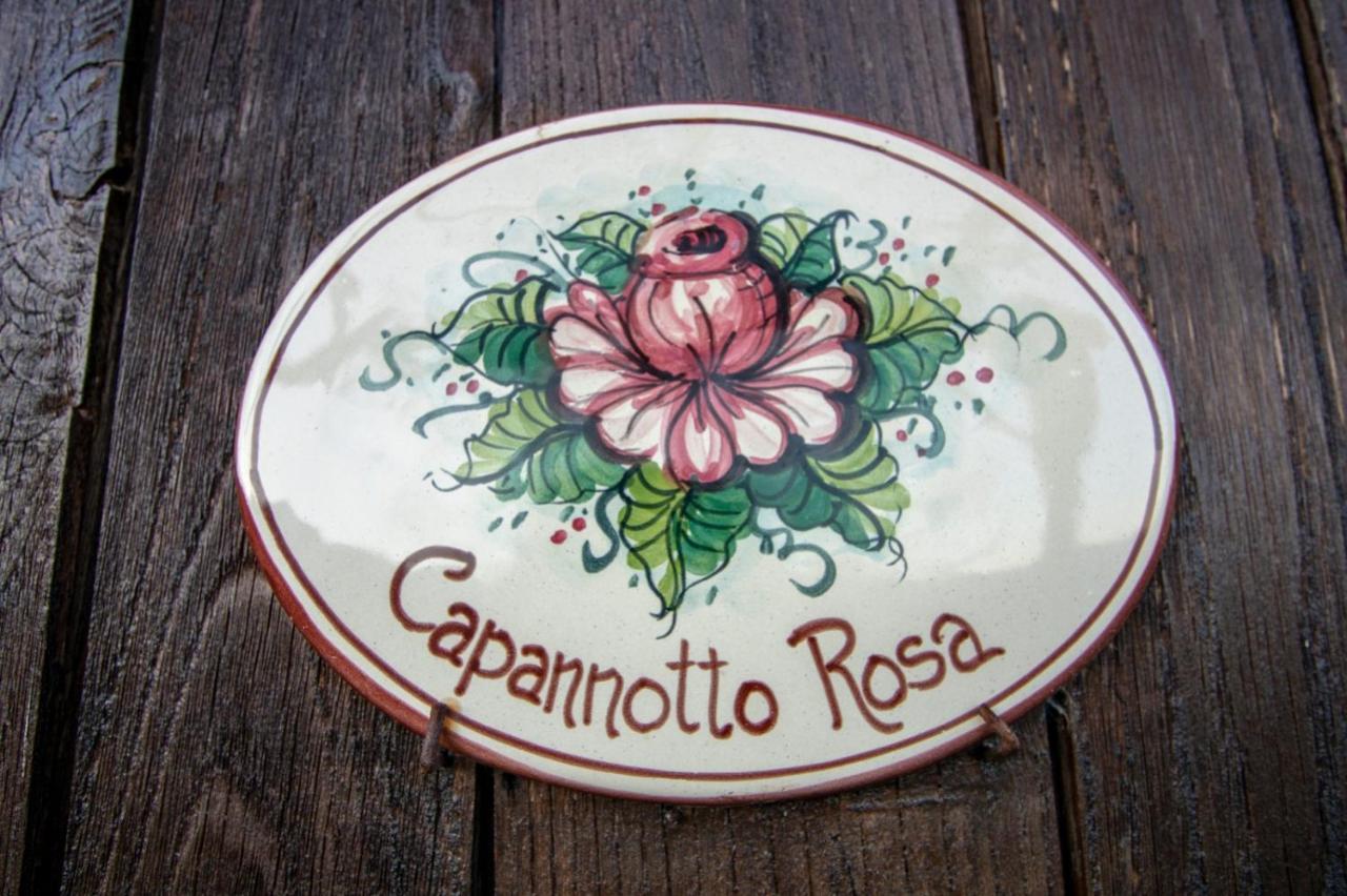 Agriturismo Braccicorti Pieve Fosciana Екстериор снимка
