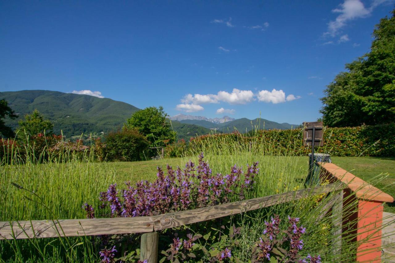 Agriturismo Braccicorti Pieve Fosciana Екстериор снимка